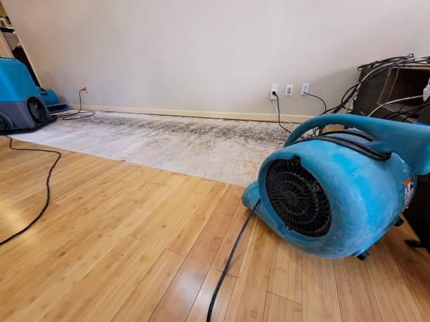 Professional Basement Flood Cleanup technician working in Randsburg, CA